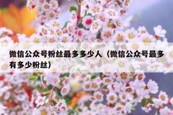 微信公众号粉丝最多多少人（微信公众号最多有多少粉丝） 第1张