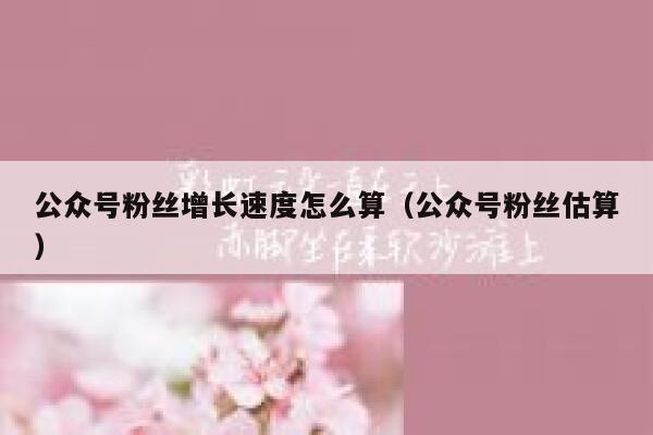 公众号粉丝增长速度怎么算（公众号粉丝估算） 第1张