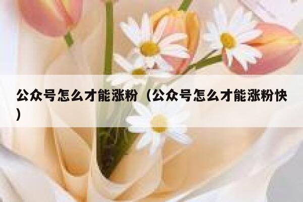 公众号怎么才能涨粉（公众号怎么才能涨粉快） 第1张
