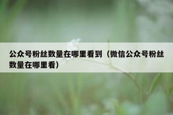 公众号粉丝数量在哪里看到（微信公众号粉丝数量在哪里看） 第1张