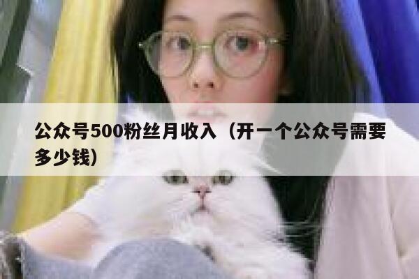 公众号500粉丝月收入（开一个公众号需要多少钱） 第1张