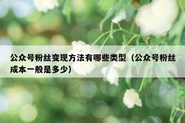 公众号粉丝变现方法有哪些类型（公众号粉丝成本一般是多少） 第1张