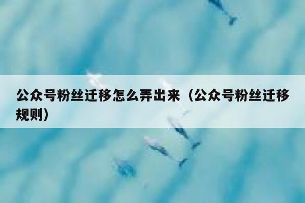 公众号粉丝迁移怎么弄出来（公众号粉丝迁移规则） 第1张