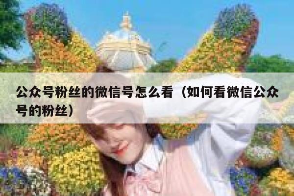 公众号粉丝的微信号怎么看（如何看微信公众号的粉丝） 第1张