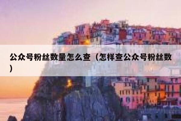 公众号粉丝数量怎么查（怎样查公众号粉丝数） 第1张