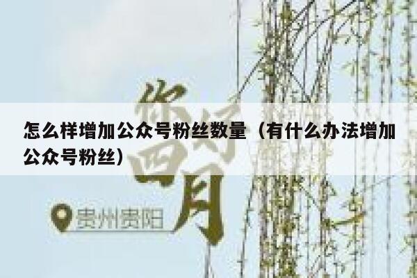 怎么样增加公众号粉丝数量（有什么办法增加公众号粉丝） 第1张
