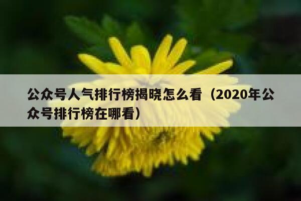 公众号人气排行榜揭晓怎么看（2020年公众号排行榜在哪看） 第1张