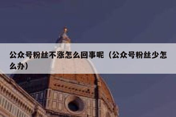 公众号粉丝不涨怎么回事呢（公众号粉丝少怎么办） 第1张