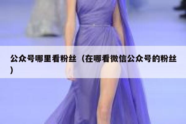 公众号哪里看粉丝（在哪看微信公众号的粉丝） 第1张