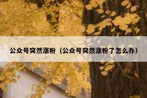 公众号突然涨粉（公众号突然涨粉了怎么办） 第1张