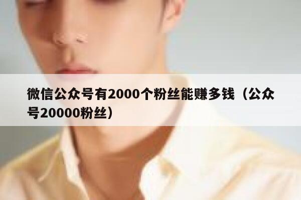 微信公众号有2000个粉丝能赚多钱（公众号20000粉丝） 第1张