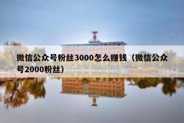 微信公众号粉丝3000怎么赚钱（微信公众号2000粉丝） 第1张