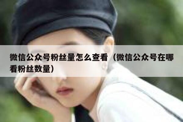 微信公众号粉丝量怎么查看（微信公众号在哪看粉丝数量） 第1张