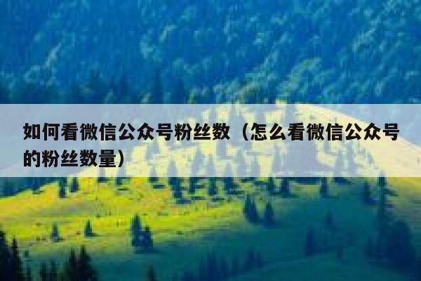 如何看微信公众号粉丝数（怎么看微信公众号的粉丝数量） 第1张