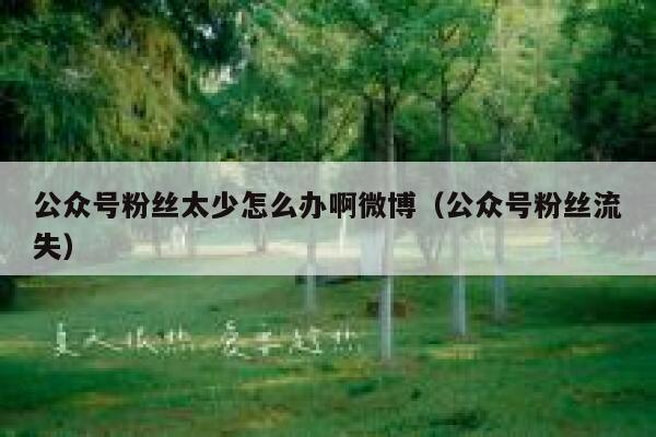 公众号粉丝太少怎么办啊微博（公众号粉丝流失） 第1张