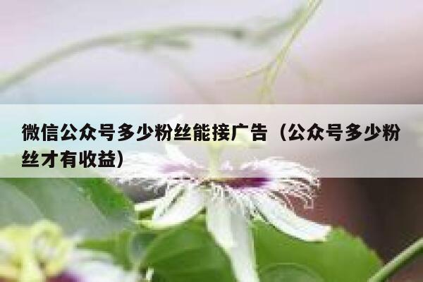 微信公众号多少粉丝能接广告（公众号多少粉丝才有收益） 第1张
