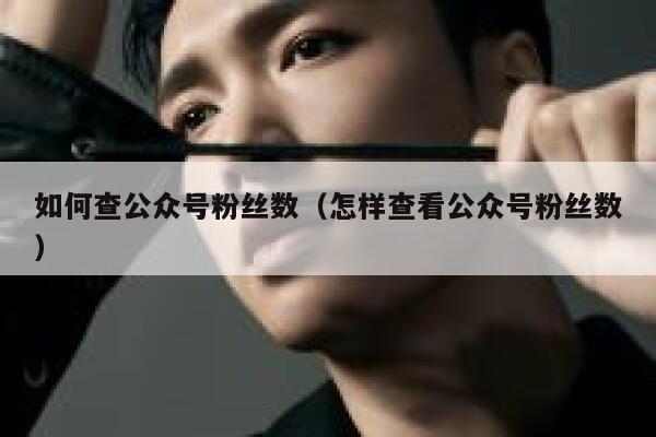 如何查公众号粉丝数（怎样查看公众号粉丝数） 第1张