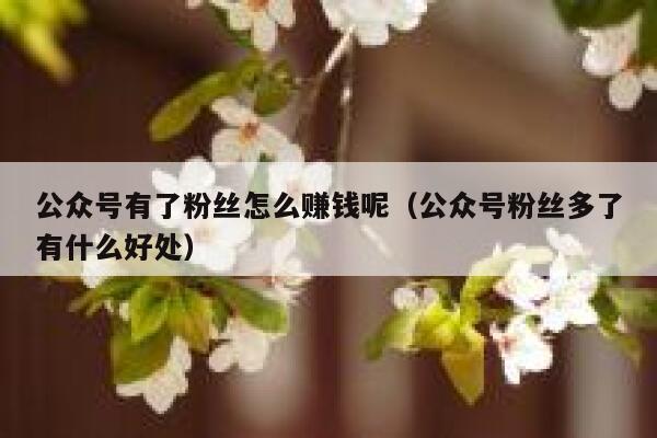 公众号有了粉丝怎么赚钱呢（公众号粉丝多了有什么好处） 第1张