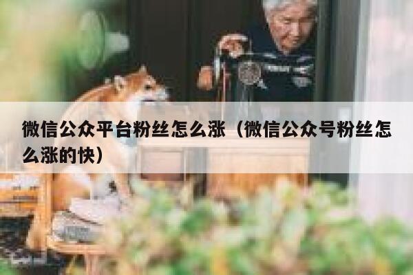 微信公众平台粉丝怎么涨（微信公众号粉丝怎么涨的快） 第1张