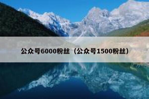 公众号6000粉丝（公众号1500粉丝） 第1张