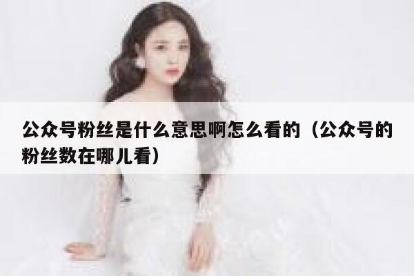 公众号粉丝是什么意思啊怎么看的(公众号的粉丝数在哪儿看) 第1张 公众号粉丝是什么意思啊怎么看的(公众号的粉丝数在哪儿看) 第1张