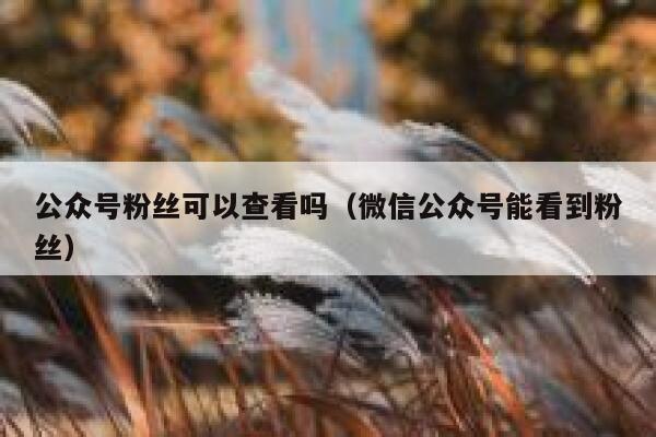 公众号粉丝可以查看吗(微信公众号能看到粉丝) 第1张 公众号粉丝可以查看吗(微信公众号能看到粉丝) 第1张