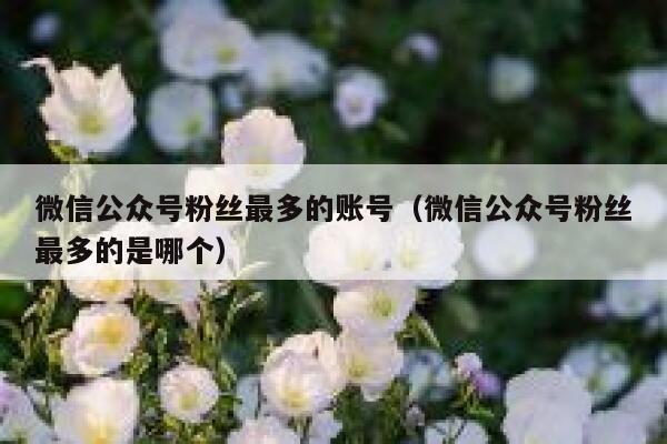 微信公众号粉丝最多的账号(微信公众号粉丝最多的是哪个) 第1张 微信公众号粉丝最多的账号(微信公众号粉丝最多的是哪个) 第1张