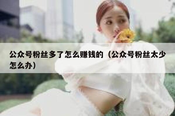 公众号粉丝多了怎么赚钱的(公众号粉丝太少怎么办) 第1张 公众号粉丝多了怎么赚钱的(公众号粉丝太少怎么办) 第1张