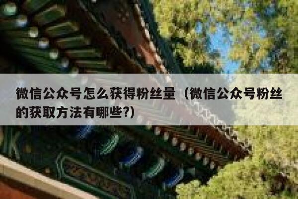 微信公众号怎么获得粉丝量（微信公众号粉丝的获取方法有哪些?） 第1张