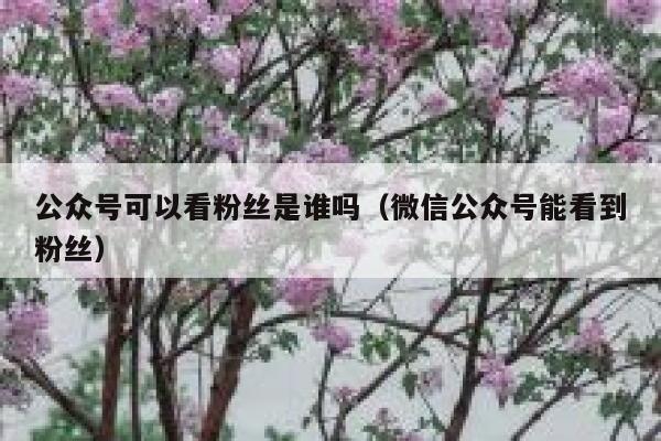 公众号可以看粉丝是谁吗（微信公众号能看到粉丝） 第1张