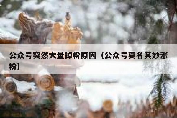 公众号突然大量掉粉原因（公众号莫名其妙涨粉） 第1张