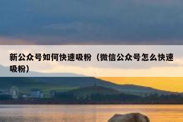 新公众号如何快速吸粉(微信公众号怎么快速吸粉) 第1张 新公众号如何快速吸粉(微信公众号怎么快速吸粉) 第1张