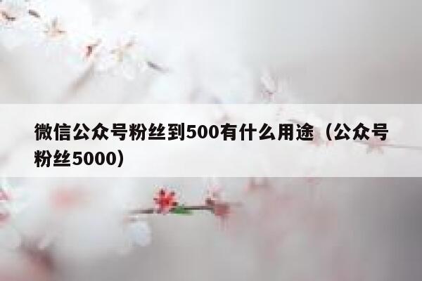 微信公众号粉丝到500有什么用途(公众号粉丝5000) 第1张 微信公众号粉丝到500有什么用途(公众号粉丝5000) 第1张