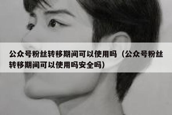 公众号粉丝转移期间可以使用吗(公众号粉丝转移期间可以使用吗安全吗) 第1张 公众号粉丝转移期间可以使用吗(公众号粉丝转移期间可以使用吗安全吗) 第1张