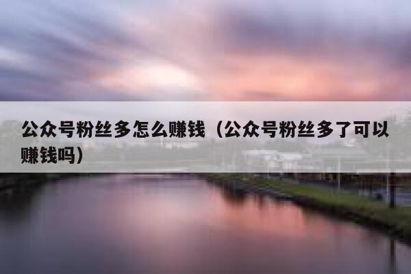 公众号粉丝多怎么赚钱(公众号粉丝多了可以赚钱吗) 第1张 公众号粉丝多怎么赚钱(公众号粉丝多了可以赚钱吗) 第1张