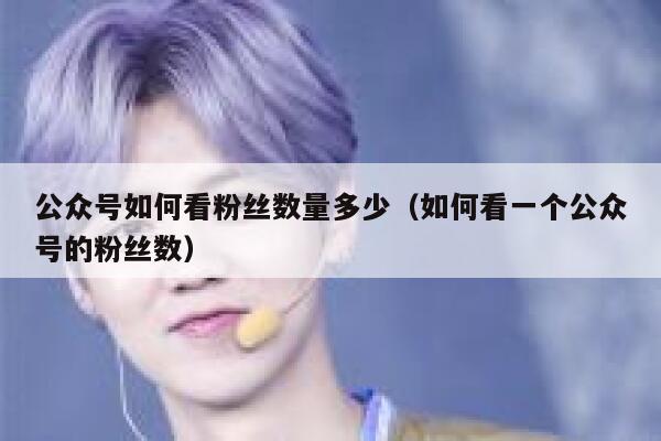 公众号如何看粉丝数量多少(如何看一个公众号的粉丝数) 第1张 公众号如何看粉丝数量多少(如何看一个公众号的粉丝数) 第1张