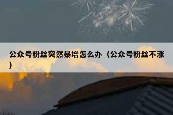 公众号粉丝突然暴增怎么办(公众号粉丝不涨) 第1张 公众号粉丝突然暴增怎么办(公众号粉丝不涨) 第1张