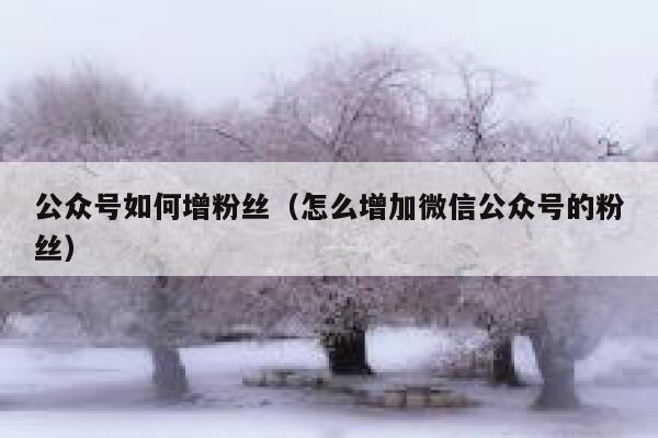 公众号如何增粉丝(怎么增加微信公众号的粉丝) 第1张 公众号如何增粉丝(怎么增加微信公众号的粉丝) 第1张