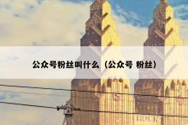 公众号粉丝叫什么（公众号 粉丝） 第1张