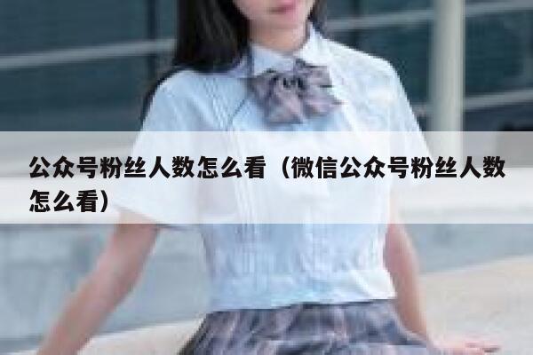 公众号粉丝人数怎么看（微信公众号粉丝人数怎么看） 第1张