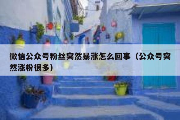 微信公众号粉丝突然暴涨怎么回事(公众号突然涨粉很多) 第1张 微信公众号粉丝突然暴涨怎么回事(公众号突然涨粉很多) 第1张