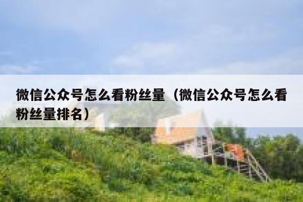 微信公众号怎么看粉丝量(微信公众号怎么看粉丝量排名) 第1张 微信公众号怎么看粉丝量(微信公众号怎么看粉丝量排名) 第1张