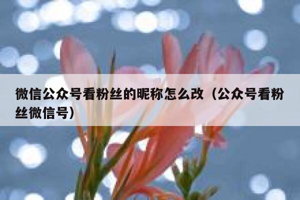 微信公众号看粉丝的昵称怎么改(公众号看粉丝微信号) 第1张 微信公众号看粉丝的昵称怎么改(公众号看粉丝微信号) 第1张