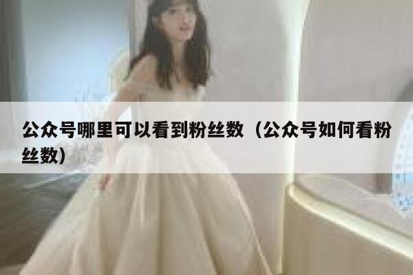 公众号哪里可以看到粉丝数（公众号如何看粉丝数） 第1张