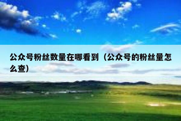 公众号粉丝数量在哪看到(公众号的粉丝量怎么查) 第1张 公众号粉丝数量在哪看到(公众号的粉丝量怎么查) 第1张