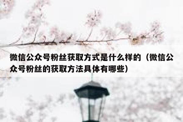 微信公众号粉丝获取方式是什么样的(微信公众号粉丝的获取方法具体有哪些) 第1张 微信公众号粉丝获取方式是什么样的(微信公众号粉丝的获取方法具体有哪些) 第1张