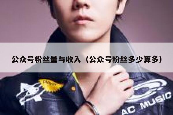 公众号粉丝量与收入(公众号粉丝多少算多) 第1张 公众号粉丝量与收入(公众号粉丝多少算多) 第1张