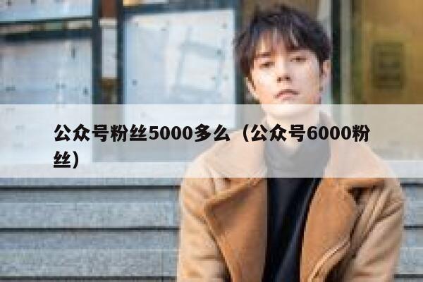 公众号粉丝5000多么(公众号6000粉丝) 第1张 公众号粉丝5000多么(公众号6000粉丝) 第1张