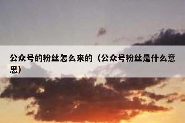 公众号的粉丝怎么来的(公众号粉丝是什么意思) 第1张 公众号的粉丝怎么来的(公众号粉丝是什么意思) 第1张