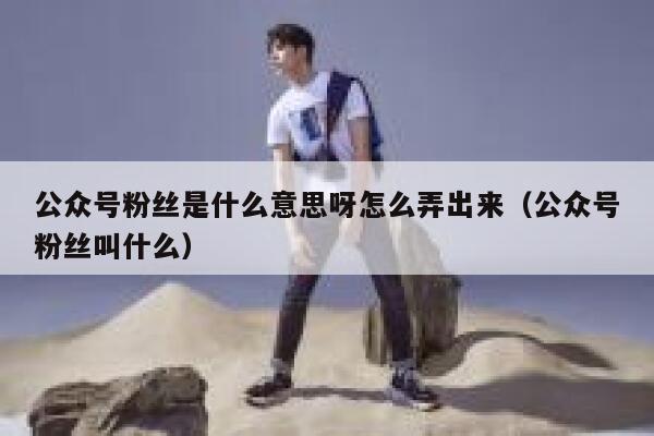 公众号粉丝是什么意思呀怎么弄出来（公众号粉丝叫什么） 第1张